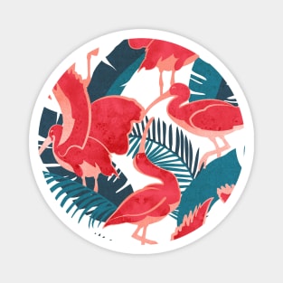 Luxurious Scarlet Ibis // white background teal vegetation metal rose and red guará large birds Magnet